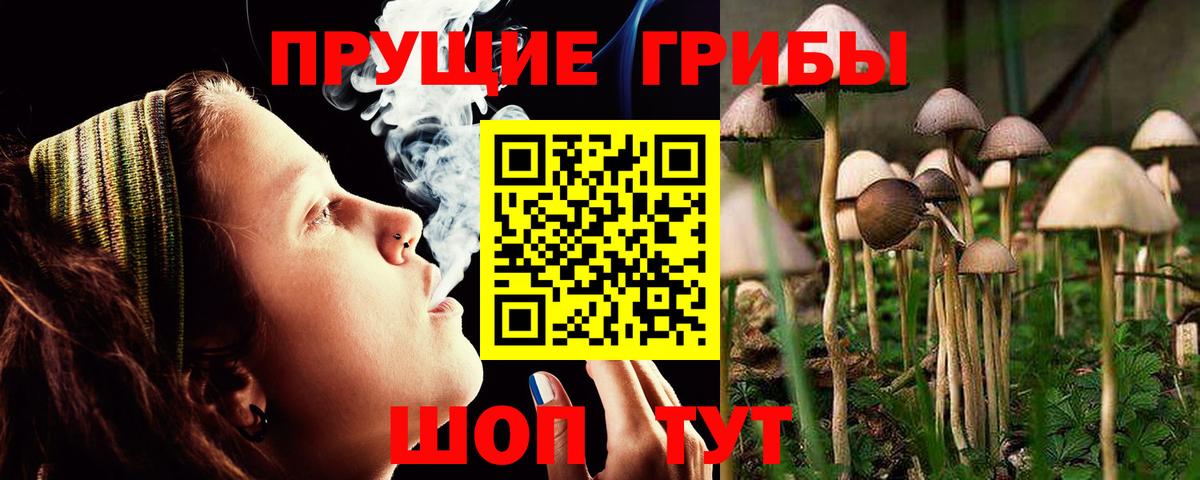 Чайковский  Галлюциногенные грибы GOLDEN TEACHER  Вход с VPN  Галлюциногенные грибы MAGIC MUSHROOMS 